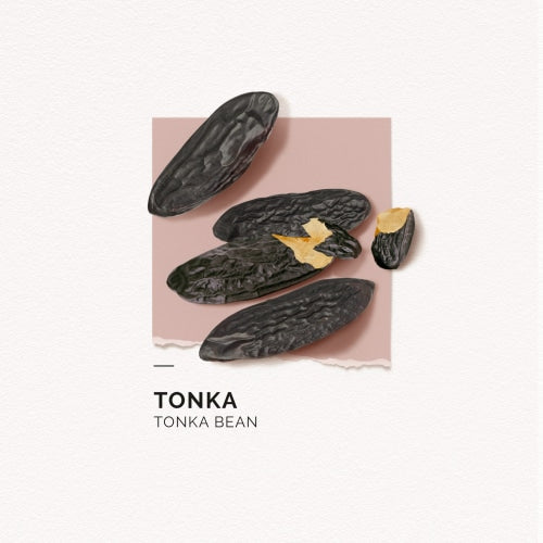 Solinotes Eau de Parfum (Tonka Bean) - Count On Us