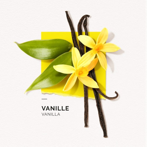 Solinotes Eau de Parfum (Vanilla) - Count On Us